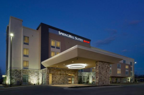 SpringHill Suites by Marriott Bridgeport Clarksburg